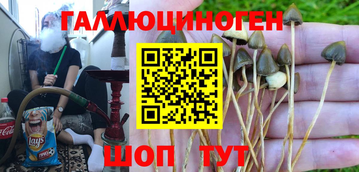 Мыски  Галлюциногенные грибы Magic Shrooms  Вход с VPN  Псилоцибиновые грибы Psilocybine cubensis 